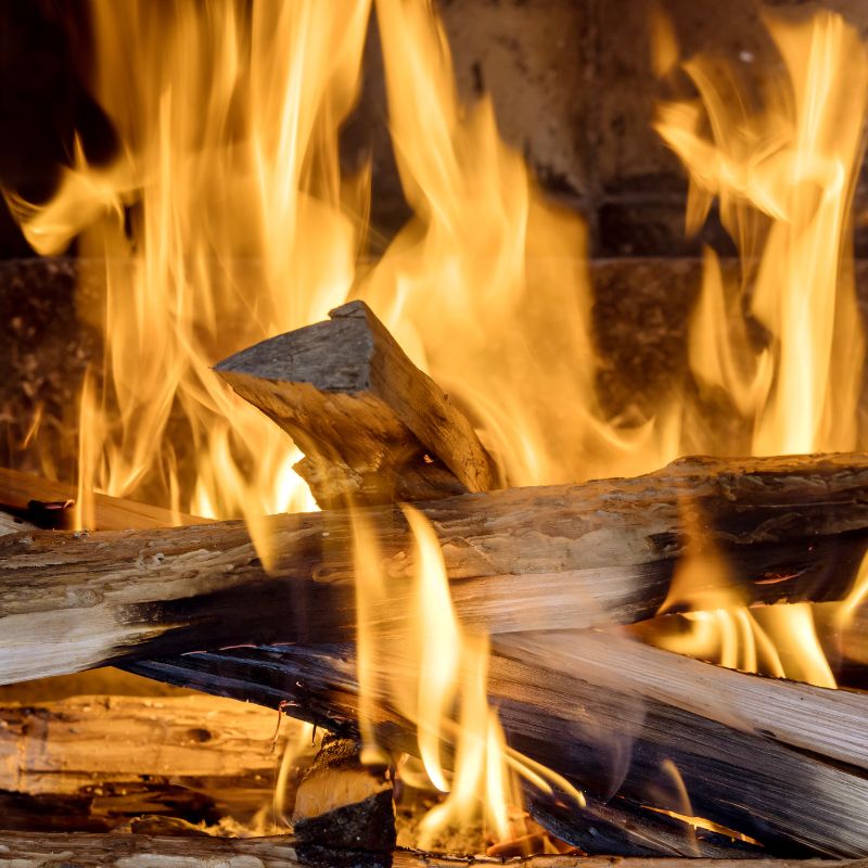 wood logs on fire