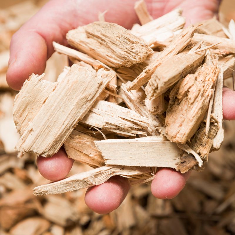 someone with a handful of wood chips with a pile of wood chips in the background